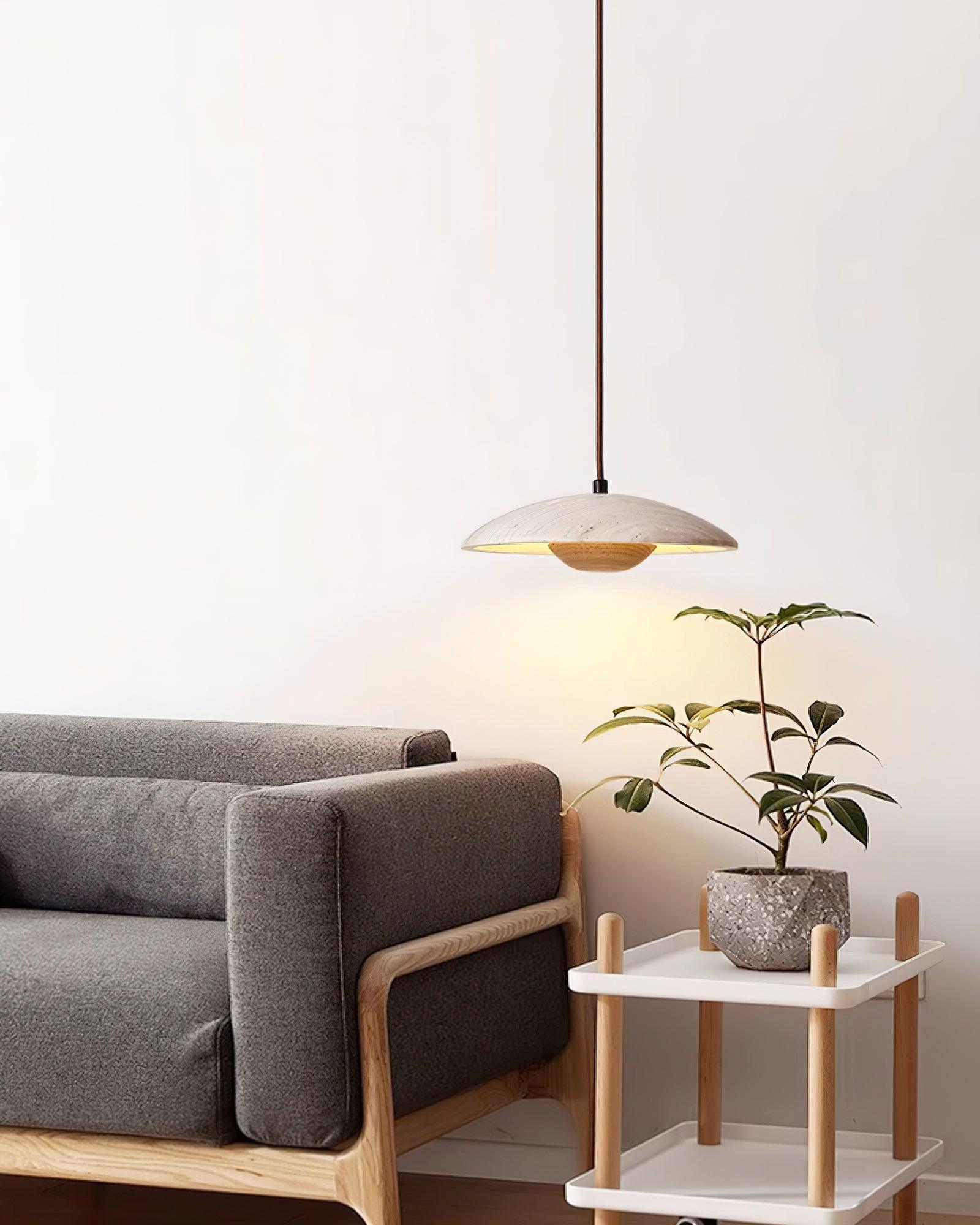 Plate Pendant Lamp 9.8