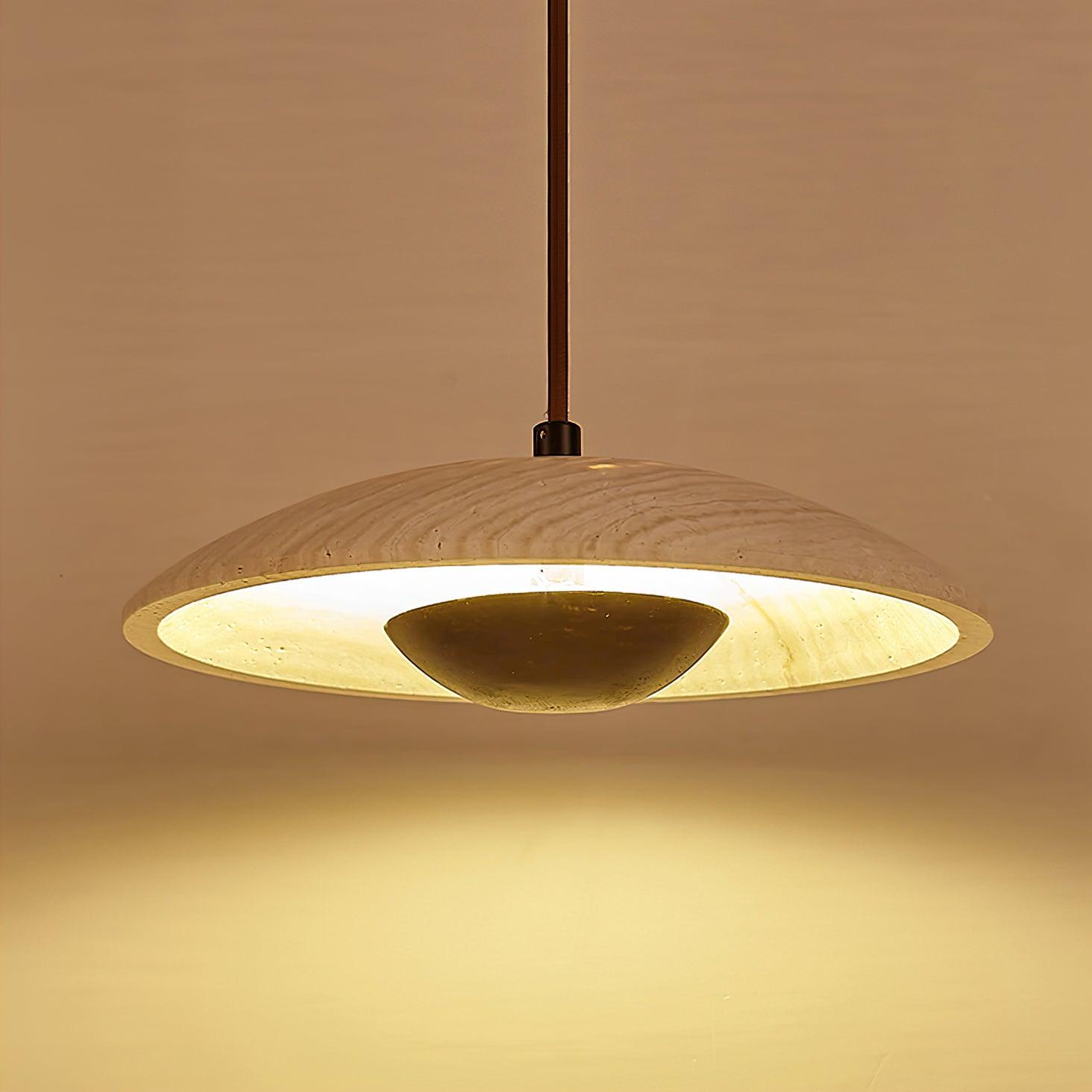 Plate Pendant Lamp 9.8