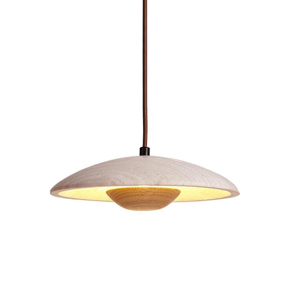 Plate Pendant Lamp 9.8