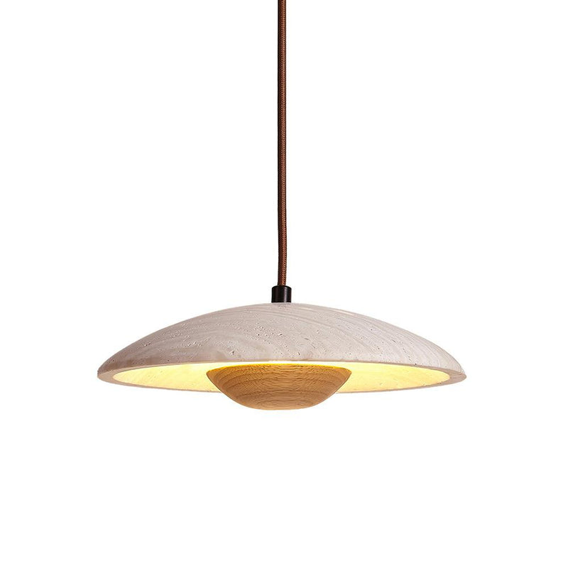 Plate Pendant Lamp 9.8"