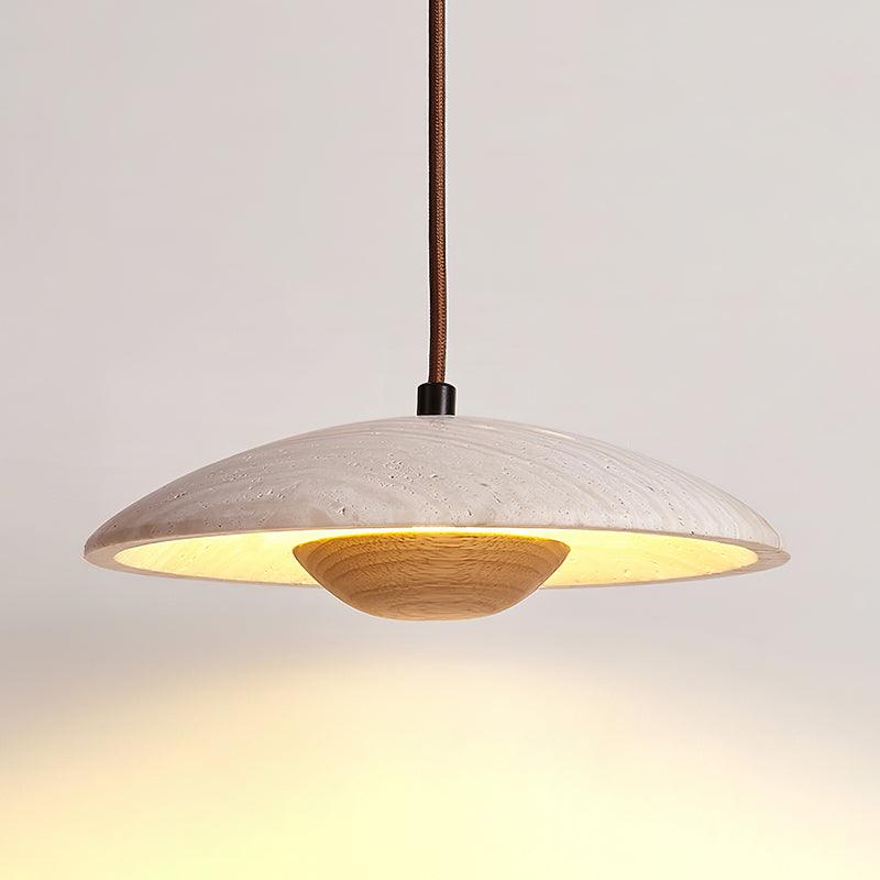 Plate Pendant Lamp 9.8