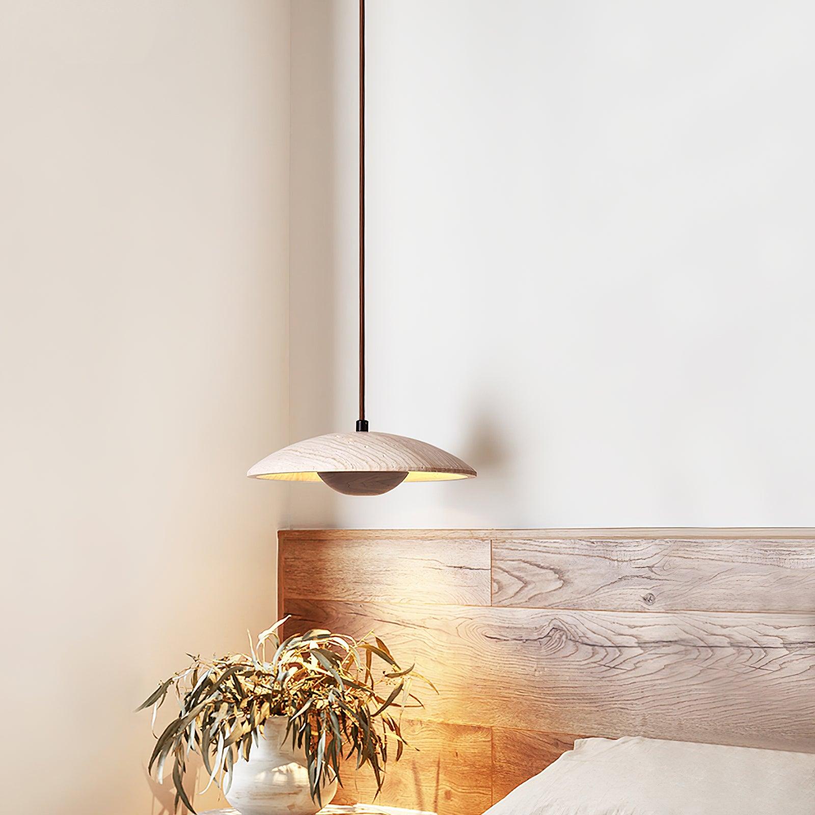 Plate Pendant Lamp 9.8