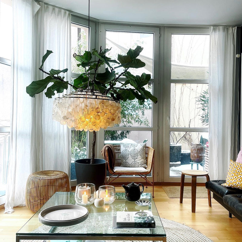 Shell Chandelier