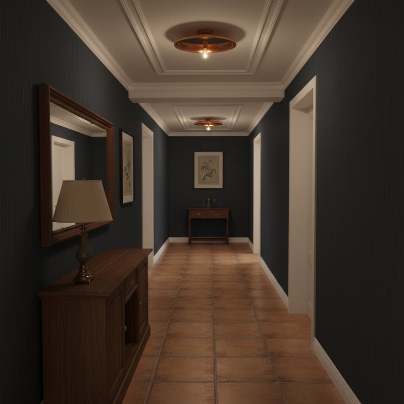 Solara Disc Ceiling Light