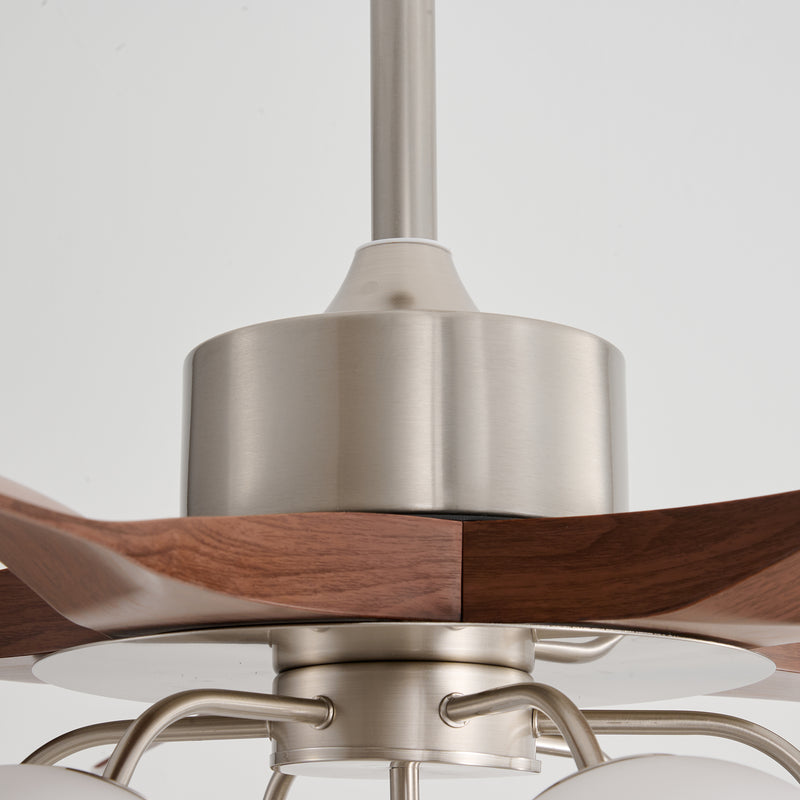 Winslow Ceiling Fan Light