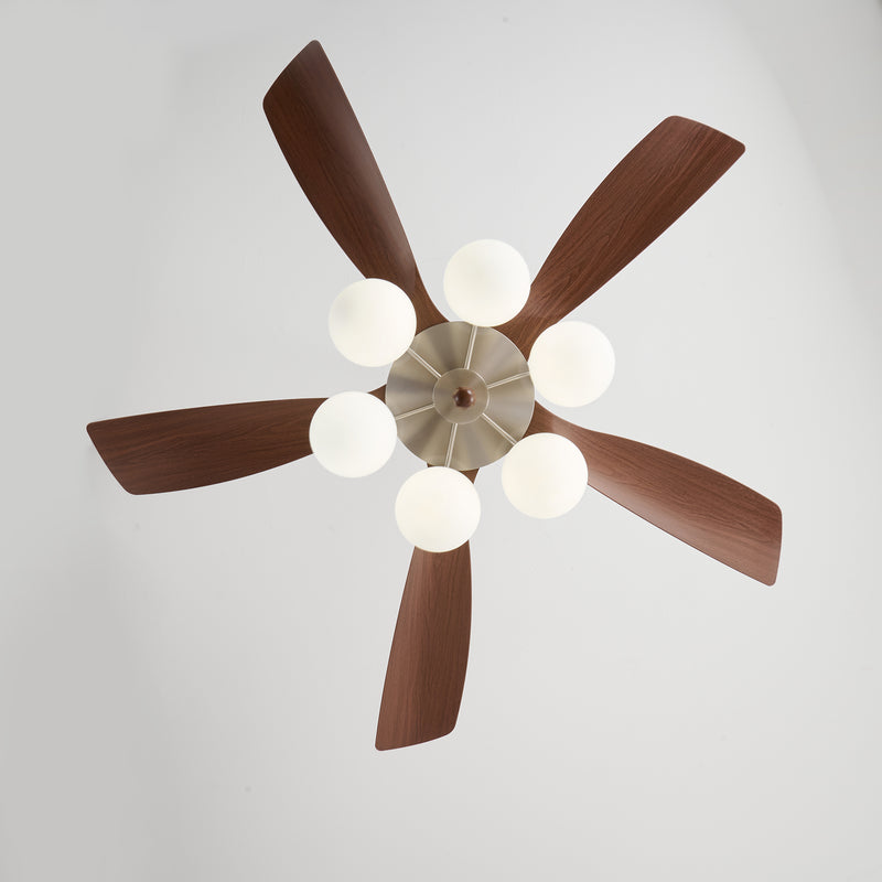 Winslow Ceiling Fan Light