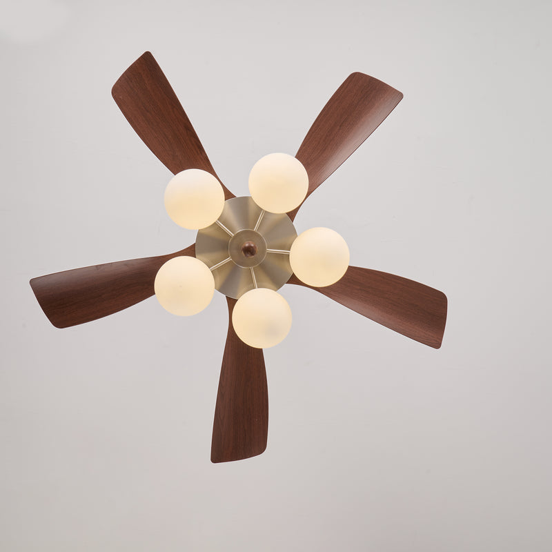 Winslow Ceiling Fan Light