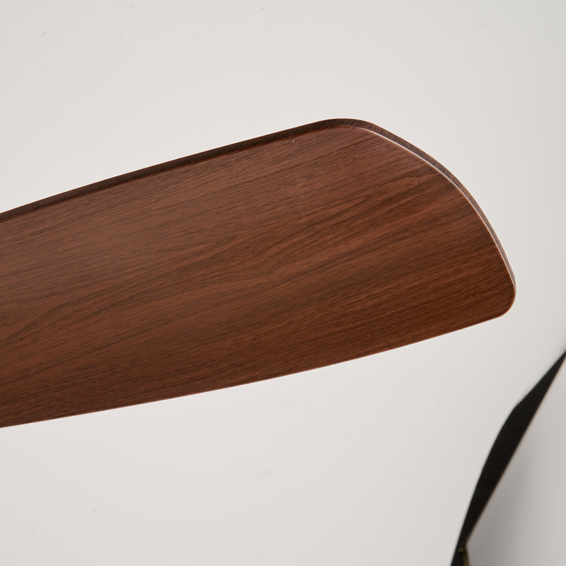 Winslow Ceiling Fan Light
