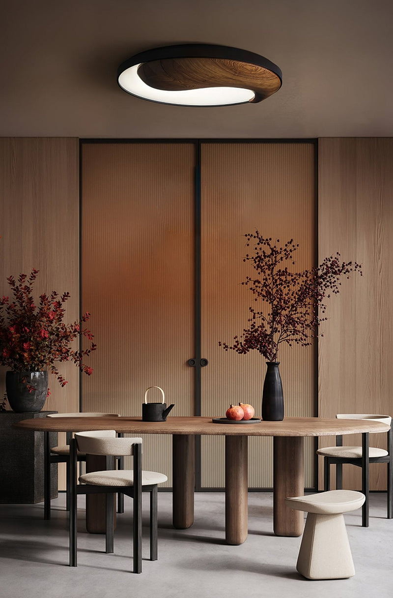 Taiyi Balance Ceiling Lamp